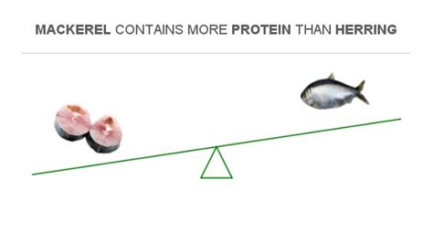 Compare Protein In Mackerel To Protein In Herring