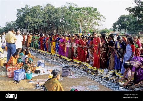 Pongal Festival, Thai Pongal festival, women cooking rice and milk dish ...