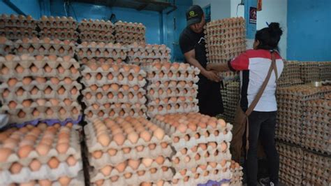 Compradores Reportan Aumento En El Precio De Los Huevos Noticias De El Salvador