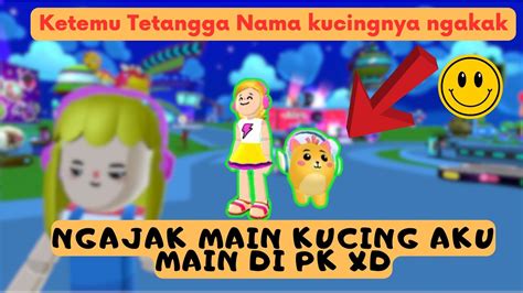 Bermain Bersama Kucing Kesayangan Di Pk Xd Indonesia Youtube