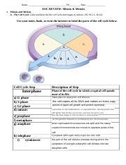 Eoc Review Mitosis Meiosis Docx Docx Name Pd Date Eoc Review