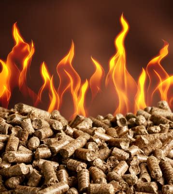 Biomass Pellets production and utilization for power generation - Erda ...