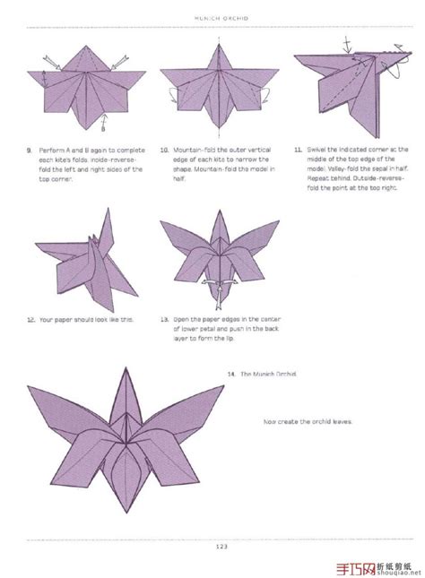 Orchidcraze Wonderful Orchid Origami