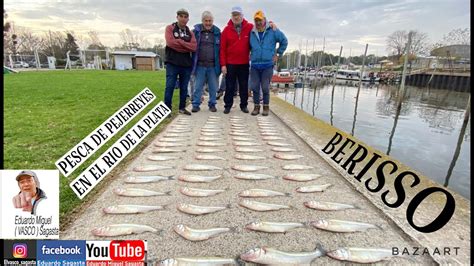 BERISSO PESCA DE PEJERREYES YouTube