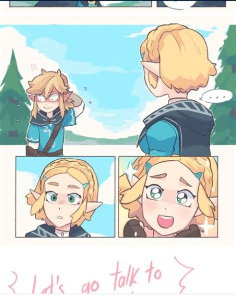 Breath Of The Wild Legend Of Zelda Legend Of Zelda Characters Zelda Art