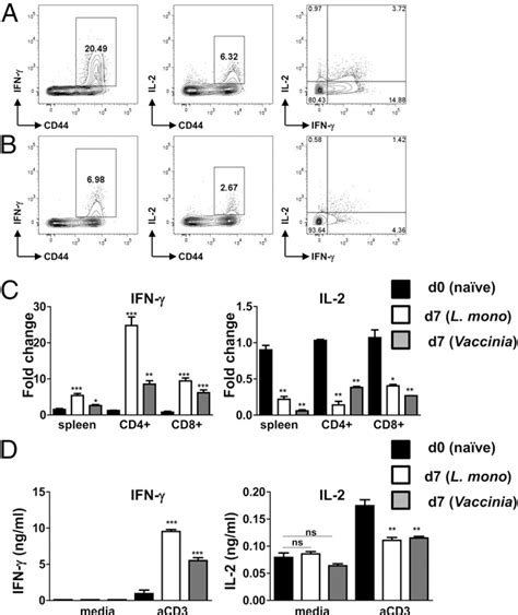 Figure 4 From Microbial Infection Induced Expansion Of Effector T Cells