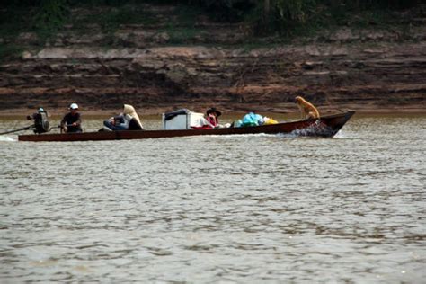 10+ Tambopata River Photos Stock Photos, Pictures & Royalty-Free Images - iStock