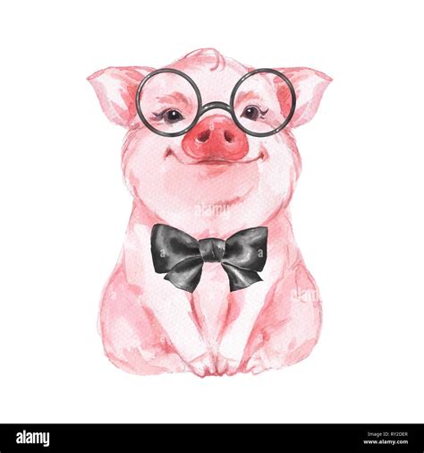 Funny pig. Isolated on white Stock Photo - Alamy