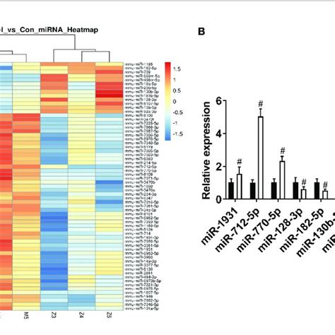 Comparison Of Mirna Differential Expression In Asthma Models A Download Scientific Diagram