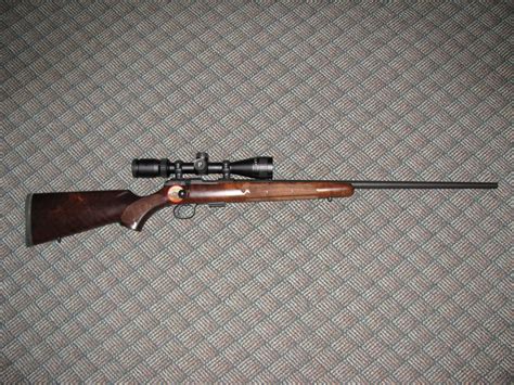 New CZ 457 American 22LR Rimfire Central Firearm Forum