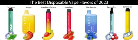 The Best Disposable Vape Flavors of 2023 - A Guide for Beginners– The Smoke Plug