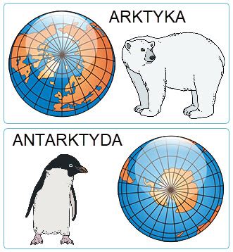 Arktyka I Antarktyda Superkid