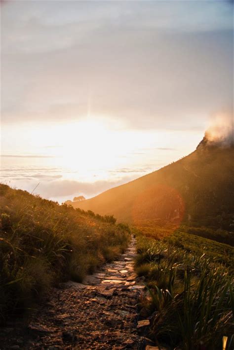 5 Hiking Trails In Cape Town | ComeToCapeTown