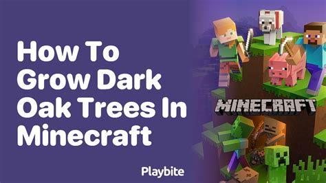 How To Grow Dark Oak Trees In Minecraft A Simple Guide Playbite