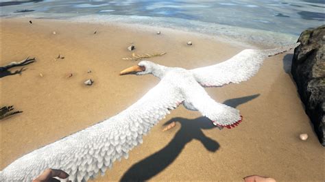 Pelagornis - Official ARK: Survival Evolved Wiki