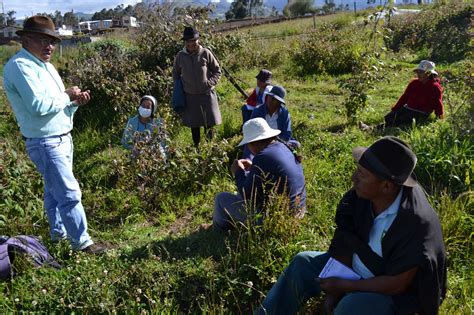 Productores De Mora Fortalecen Sus Capacidades Y Mejoran Sus Pr Cticas