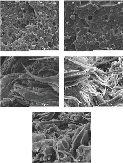 SEM Images Of The Tensile Fracture Surface Morphology Of The PLA PBAT