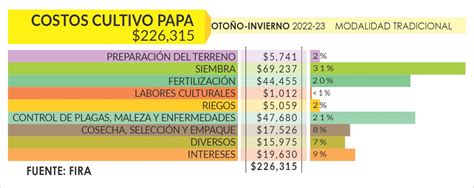 Costos De Producci N Papa Panorama Agropecuario