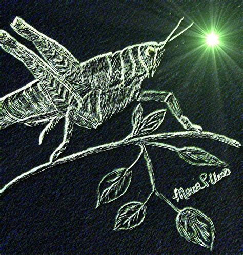 The Grasshopper Digital Art By Maria Urso Pixels