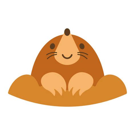 Mole Animal Illustrations, Royalty-Free Vector Graphics & Clip Art - iStock