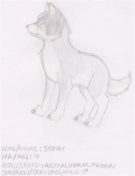 Sydney Ref By Randomwolfie On Deviantart