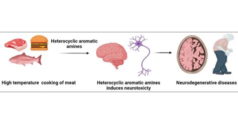 Heterocyclic Aromatic Amines