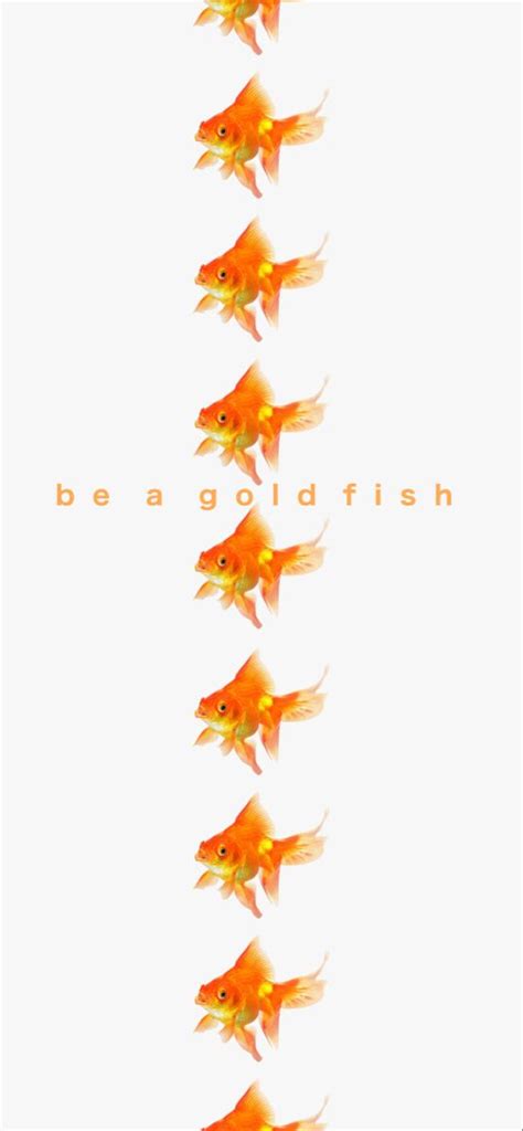 ted lasso wallpaper be a goldfish in 2022 | Lasso, January wallpaper ...