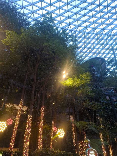 You Can Experience Snowfall At Jewel Changi Airport From 19 Nov 20 3