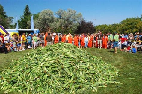 Cornfest | Town of Taber