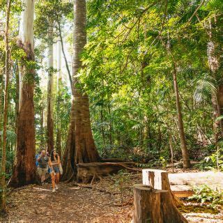 Viajes de 1 día desde Parque nacional Springbrook GetYourGuide