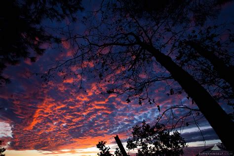 The Sunset From My Backyard 5455x3637 Sky Photos Sunset Photo