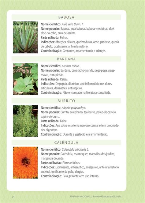 Cartilha Projeto Plantas Medicinais PDF