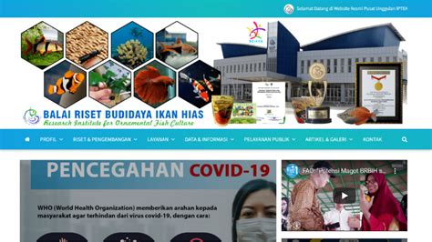 Balai Riset Budidaya Ikan Hias Provet Indonesia