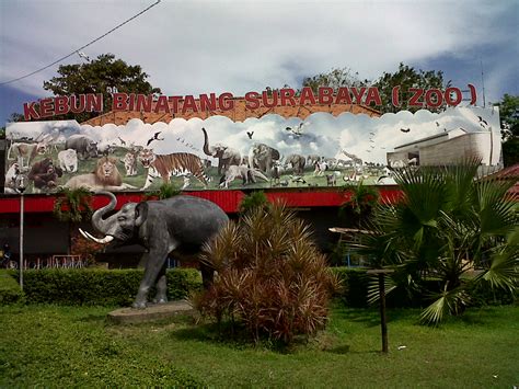 Surabaya Zoo | My Destination