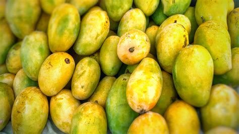 close  shot   mango   cloth  stock photo