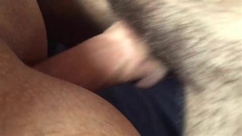 Hits Gone Gay XHamster