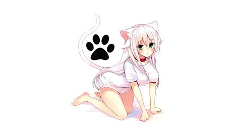 Hd Wallpaper Anime Girls Cats Wallpaper Flare