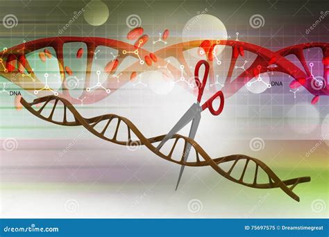 Forbici Che Tagliano La Struttura Del Dna Illustrazione Di Stock