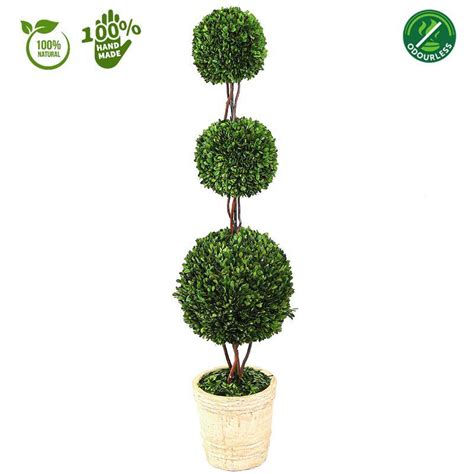 100 Natural Preserved Boxwood Topiary Triple Balls Tree Home