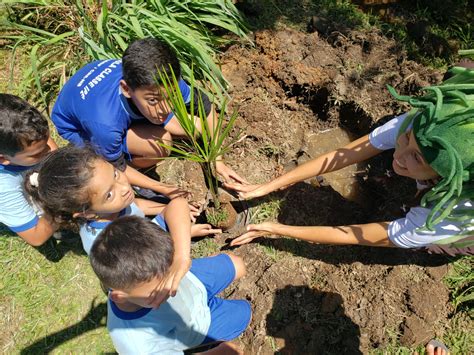 Comemoração do Dia da Árvore é antecipada educação ambiental FOTO