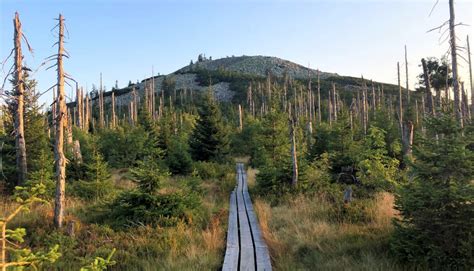 Wandern Übers Teufelsloch zum Lusen 3 00 h 12 km Bergwelten