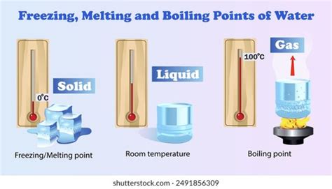 Freezing Melting Boiling Points Water State Stock Vector Royalty Free