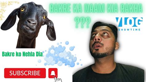 Goat Ka Naam Rakh Lia Bakra Eid Qurbani Vlog Bakre Ko Nehla Dia