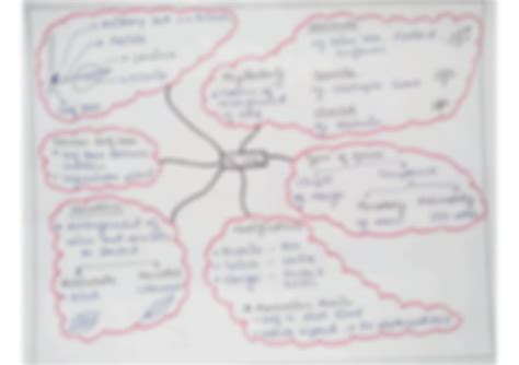 SOLUTION Mind Map Morphology Of Flowering Plants Studypool