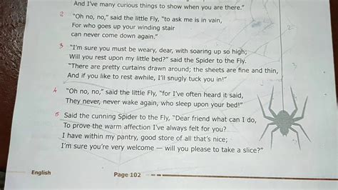 Std Ix English Unit Poem The Spider And The Fly Youtube