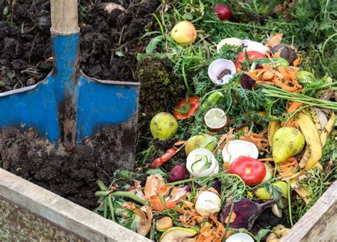 Compost Types And Benefits Travis Perkins