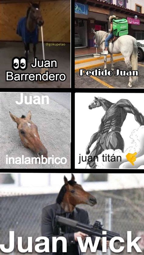 34 Ideas De Juan En 2021 Memes Divertidos Memes Imágenes Divertidas