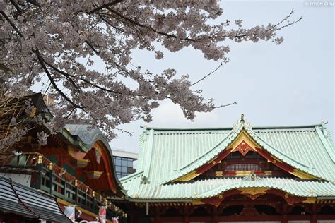 東京・神田明神 ∣ Kanda Shrine・tokyo By Iyhon Chiu Tumbex