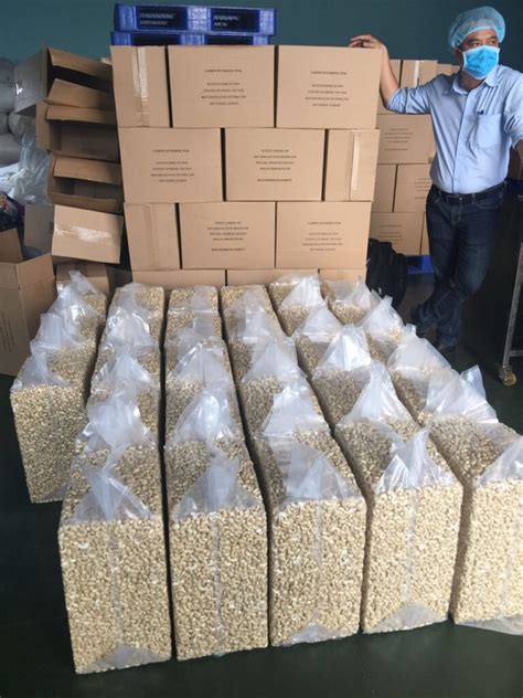 Modern Factory No Certified Vietnam Cashew Nuts Exporter