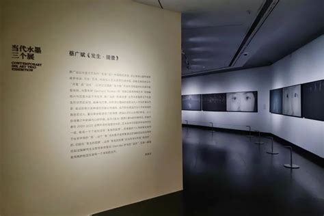 当代水墨三个展 蔡广斌《发生·图景》 广东美术馆